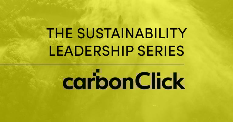 Sustainability leadership: Making carbon offsetting credible